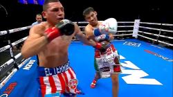 Never Miss a Punch: Top Boxing Streams Online